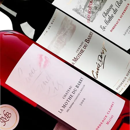 Chateau La Mothe Du Barry Frühstückspension 3*