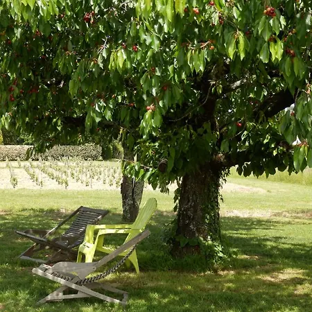 Frühstückspension Chateau La Mothe Du Barry