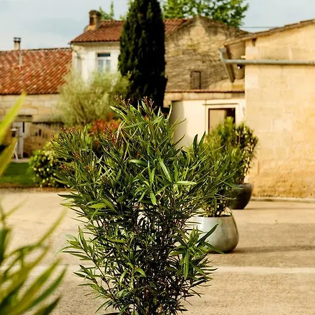 Chateau La Mothe Du Barry Frühstückspension 3*