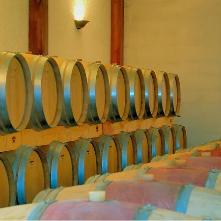 Chateau La Mothe Du Barry Frühstückspension