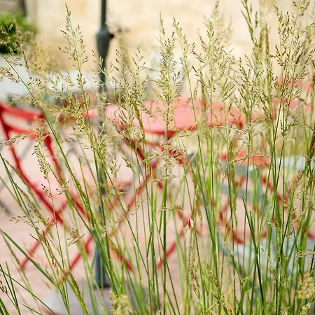 Bed & Breakfast Chateau La Mothe Du Barry Moulon-sur-Dordogne