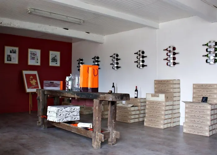 Chateau La Mothe Du Barry 4*